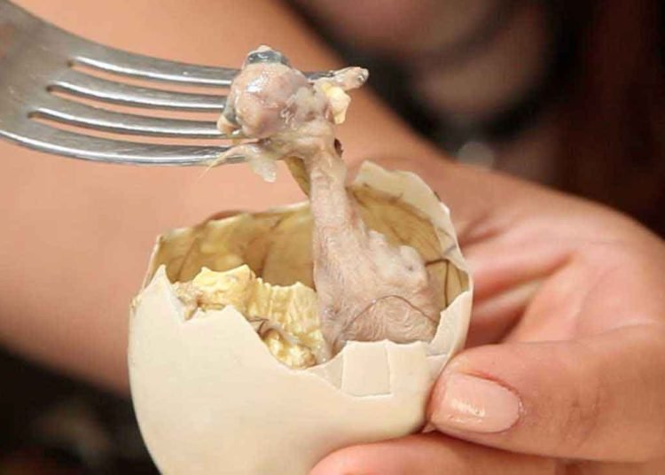Balut Filipina